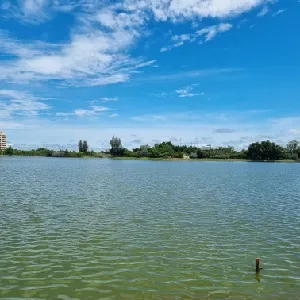 หนองประจักษ์