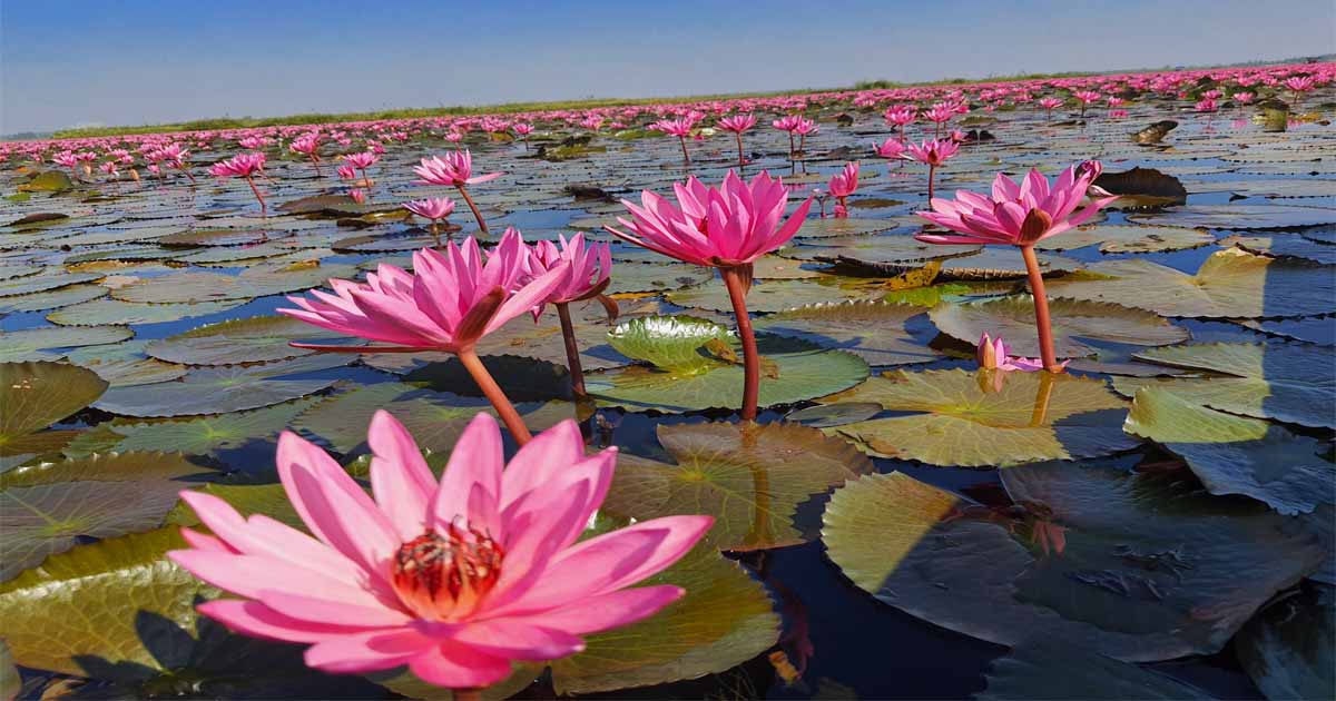 บริการรถเช่า สนามบิน อุดรธานี