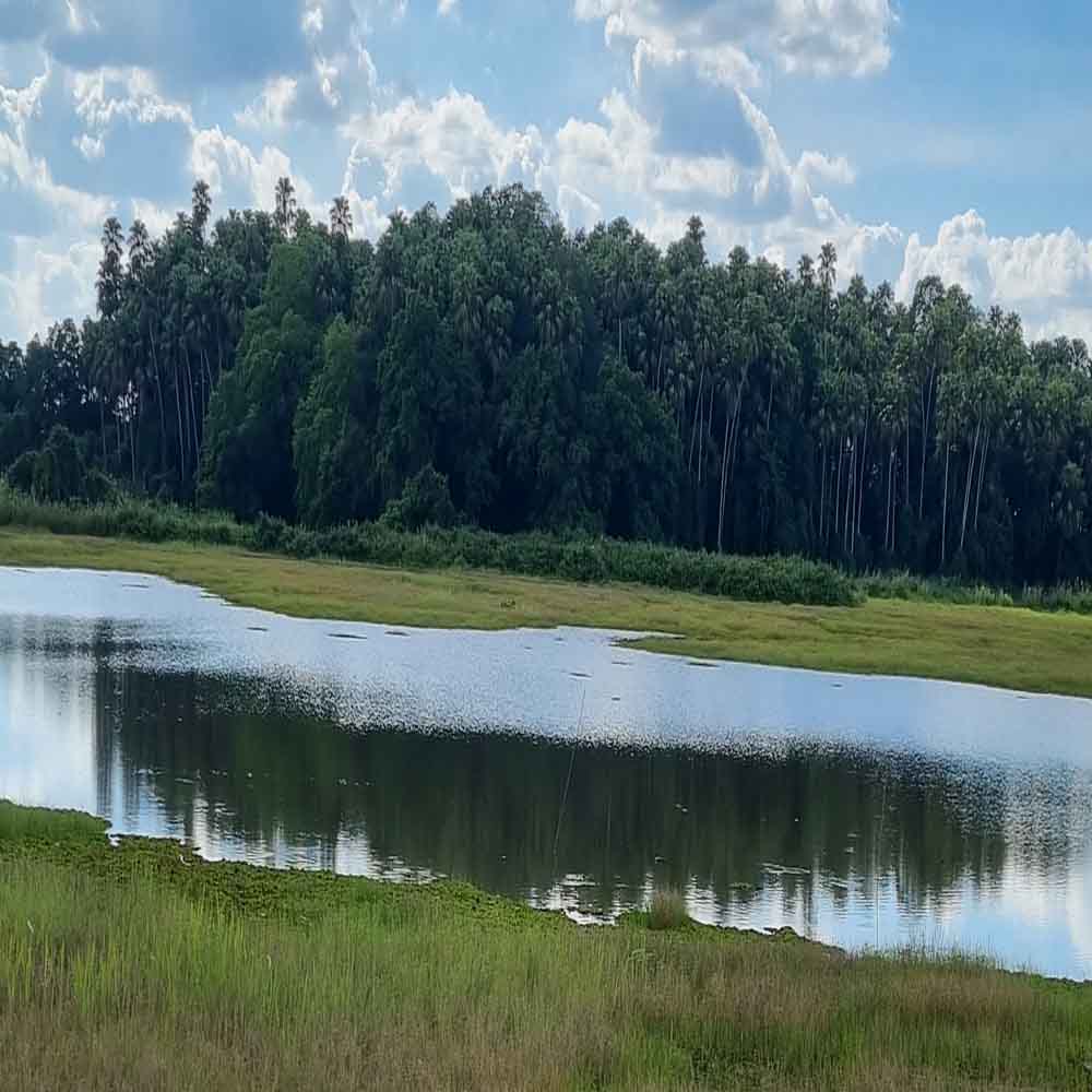 เกาะกลาง คำชะโนดอุดรธานี